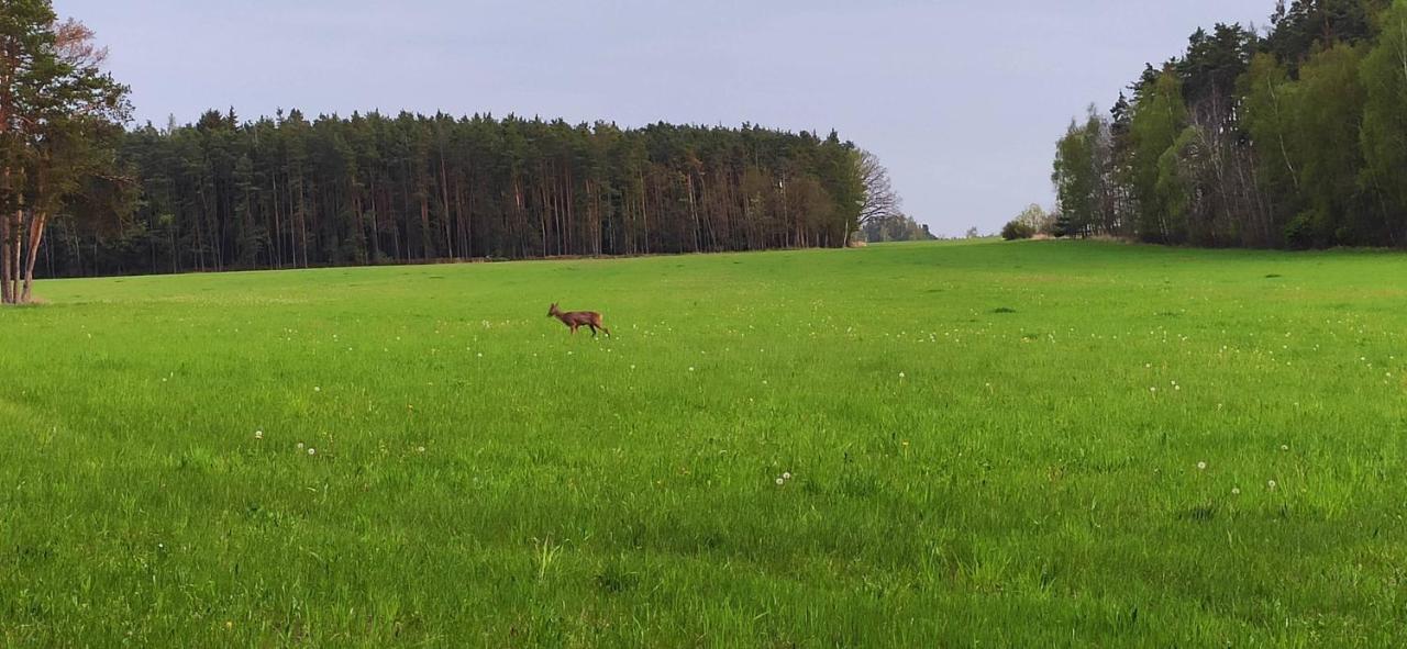 Chata Marecek - V Lesni Osade U Reky Luznice Skalice Luaran gambar