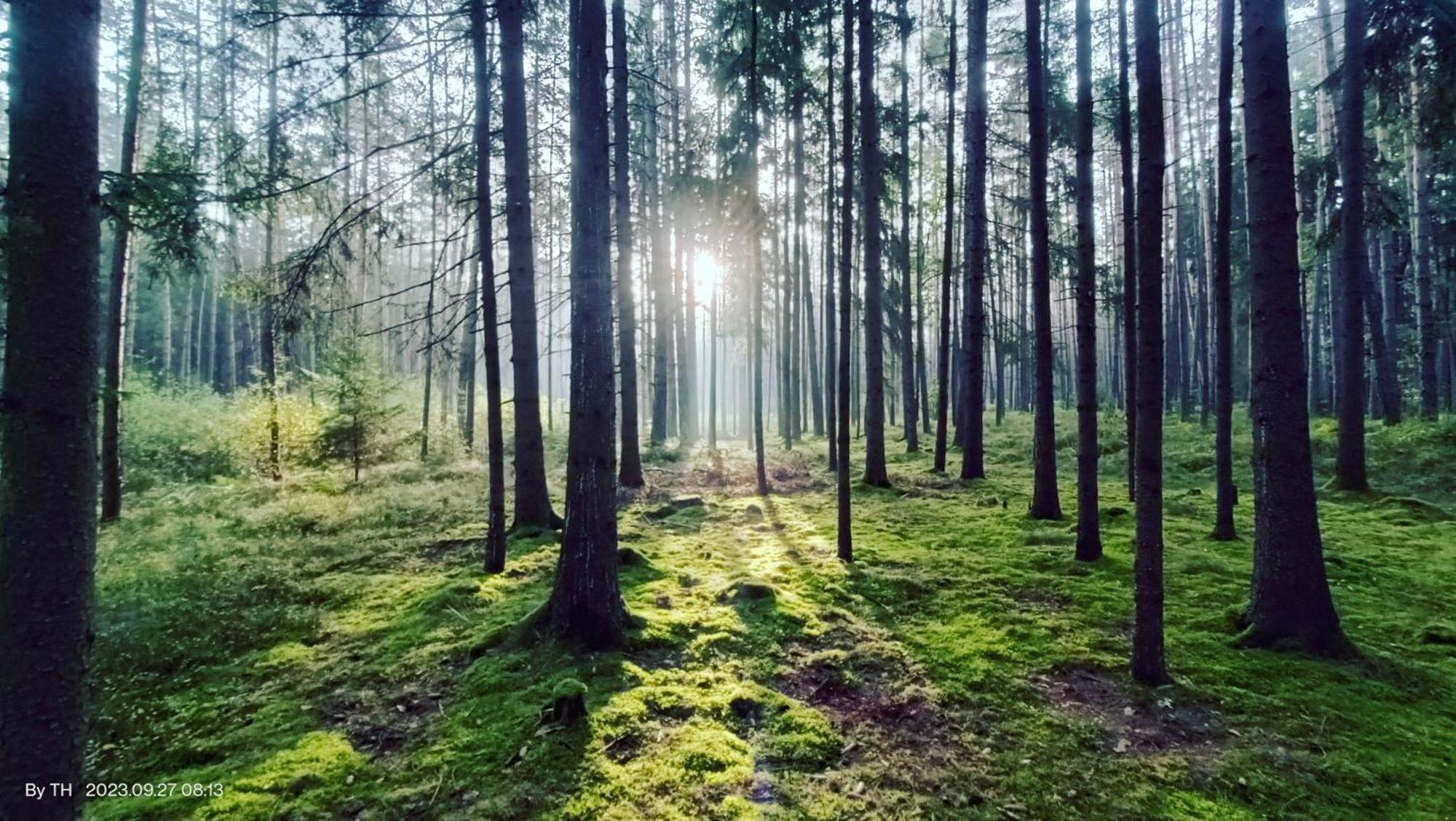Chata Marecek - V Lesni Osade U Reky Luznice Skalice Luaran gambar